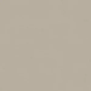 Piso Ceramico Avorio 60x60 Retificado Karina