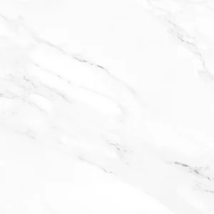 Piso Ceramico Elegance 60x60 Retificado Karina