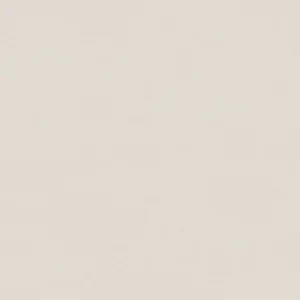 Piso Ceramico Vogue 60x60 Polido Retificado Karina