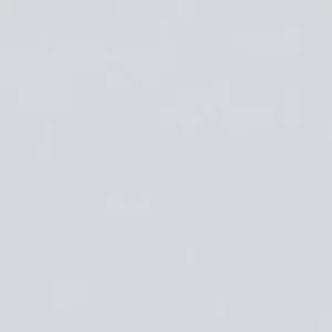 Piso Ceramico Zermatt 60x60 Polido Retificado Karina